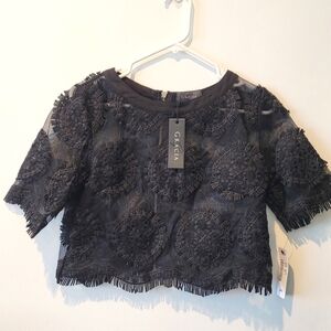 Gracia Sheer Black Embroidered Crop Top